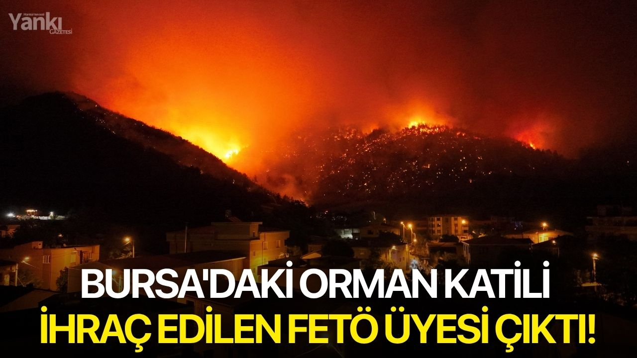 Bursa'daki orman katili ihraç edilen FETÖ üyesi çıktı!