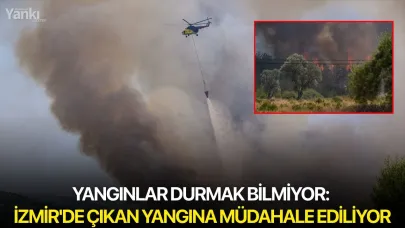 Yangınlar durmak bilmiyor: İzmir'de çıkan yangına müdahale ediliyor