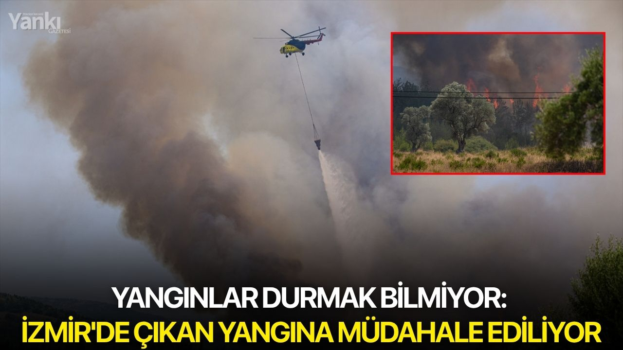 Yangınlar durmak bilmiyor: İzmir'de çıkan yangına müdahale ediliyor