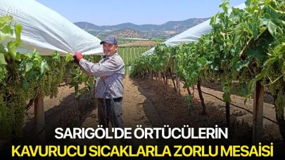 Sarıgöl'de örtücülerin kavurucu sıcaklarla zorlu mesaisi