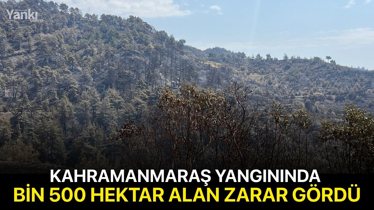 Kahramanmaraş yangınında bin 500 hektar alan zarar gördü