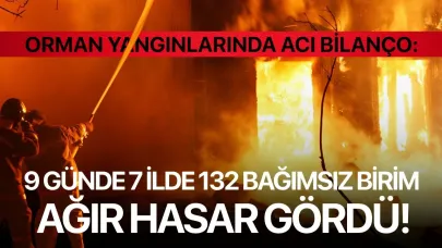 Orman yangınlarında acı bilanço: 9 günde 7 ilde 132 bağımsız birim ağır hasar gördü!