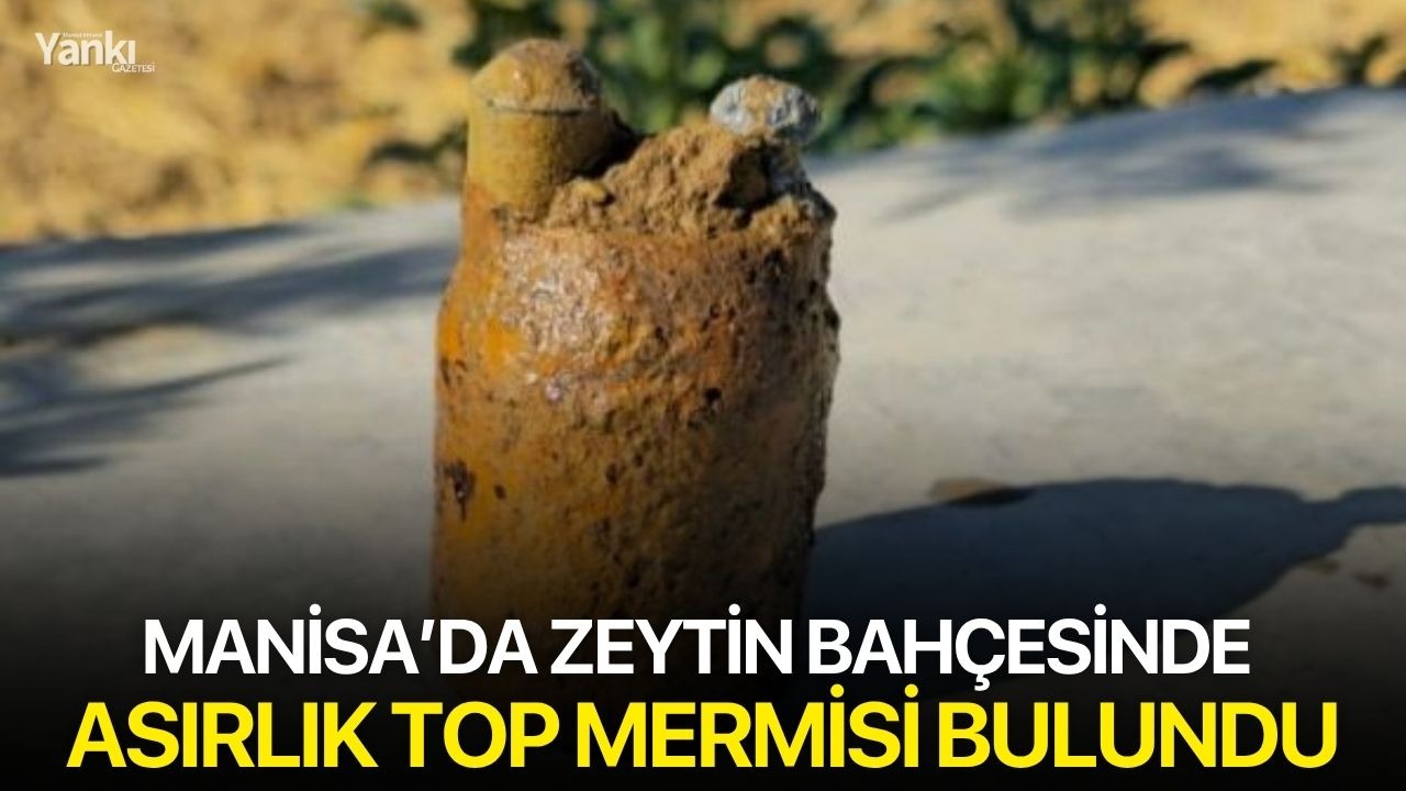 Manisa’da zeytin bahçesinde asırlık top mermisi bulundu