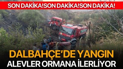 Dalbahçe’de Yangın: Alevler Ormana İlerliyor