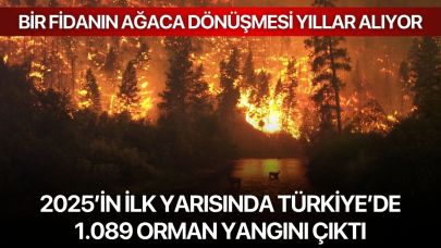2025’in ilk yarısında Türkiye’de 1.089 orman yangını çıktı