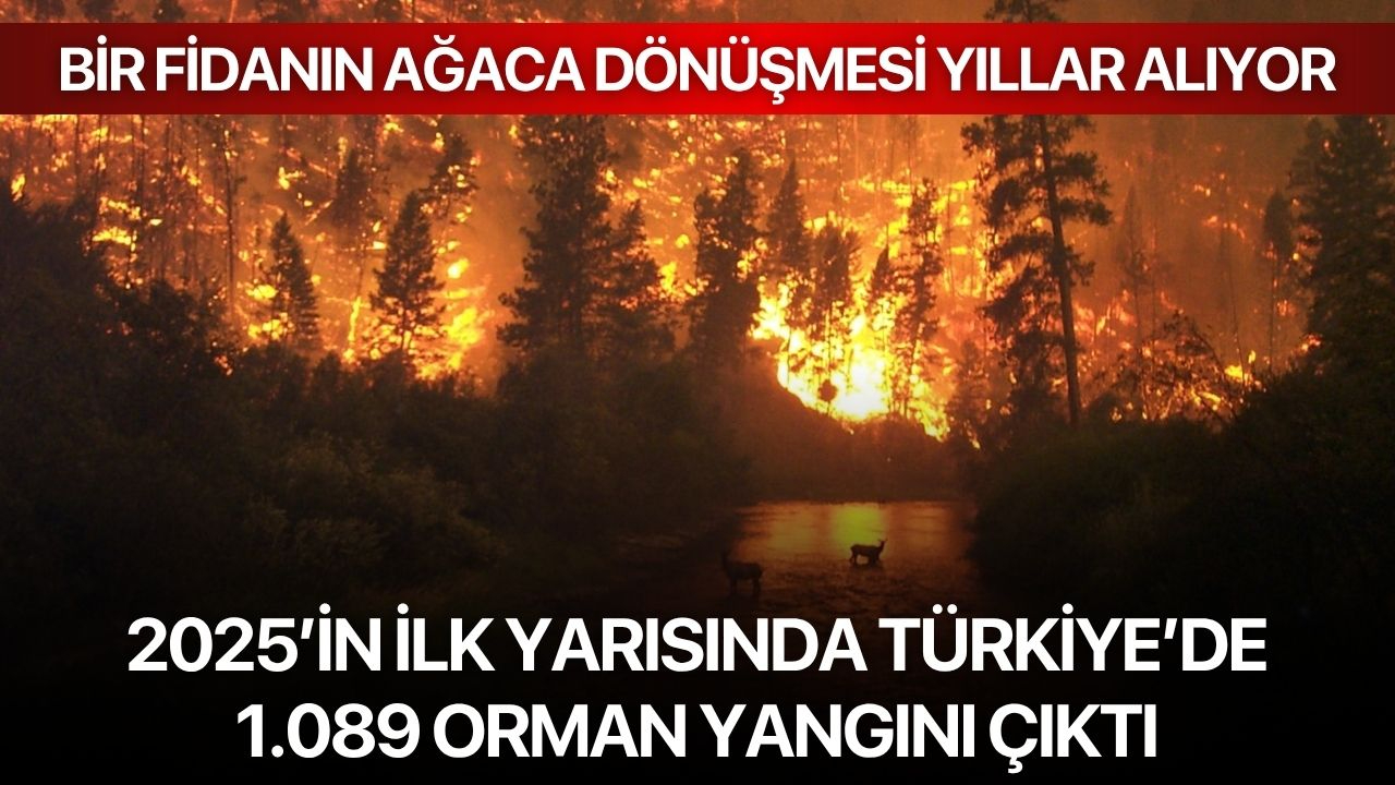 2025’in ilk yarısında Türkiye’de 1.089 orman yangını çıktı
