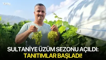 Sultaniye üzüm sezonu açıldı: Tanıtımlar başladı!