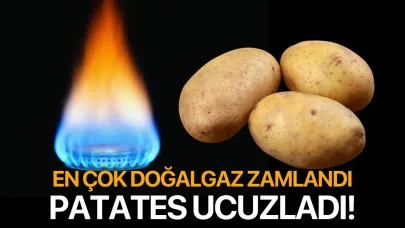 En çok doğalgaz zamlandı! Patates ucuzladı...