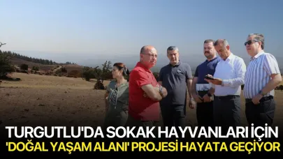Turgutlu'da Sokak Hayvanları İçin 'Doğal Yaşam Alanı' Projesi Hayata Geçiyor