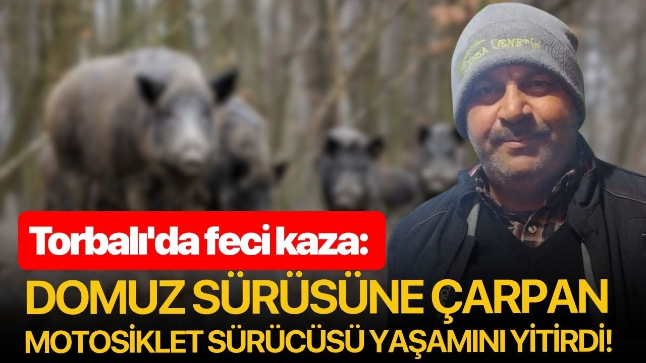 Torbalı'da feci kaza: Domuz sürüsüne çarpan motosiklet sürücüsü yaşamını yitirdi!