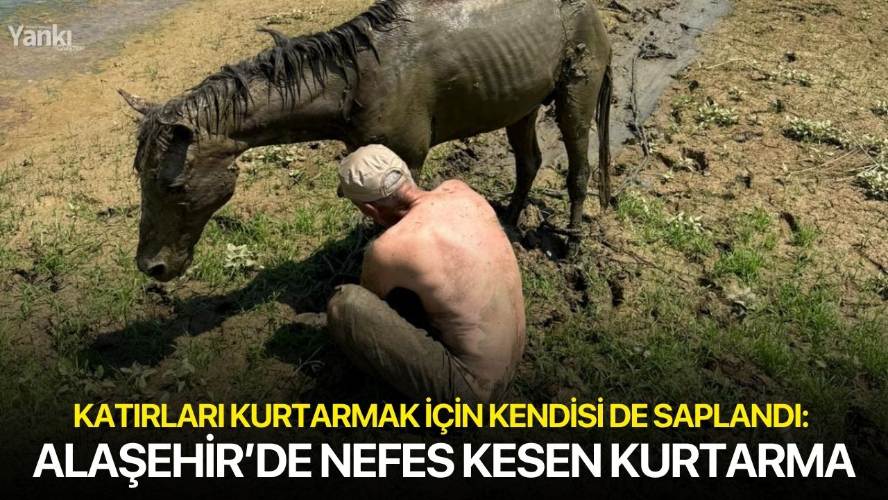 Katırları kurtarmak için kendisi de saplandı: Alaşehir’de nefes kesen kurtarma