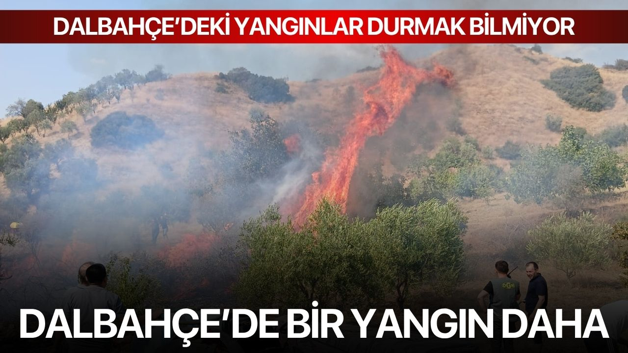 Dalbahçe'de Bir Yangın Daha