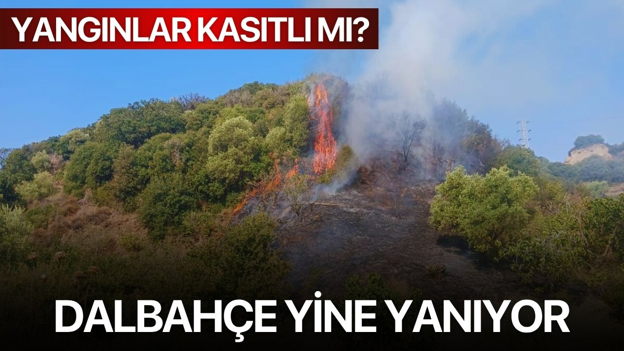 Dalbahçe'de peş peşe iki yangın: Yangınlar kasıtlı mı?