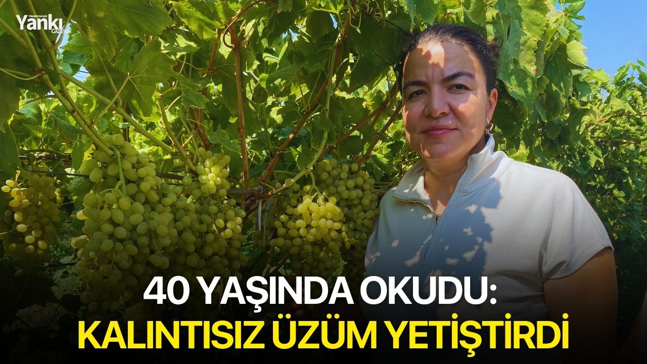 40 yaşında okudu: Kalıntısız üzüm yetiştirdi