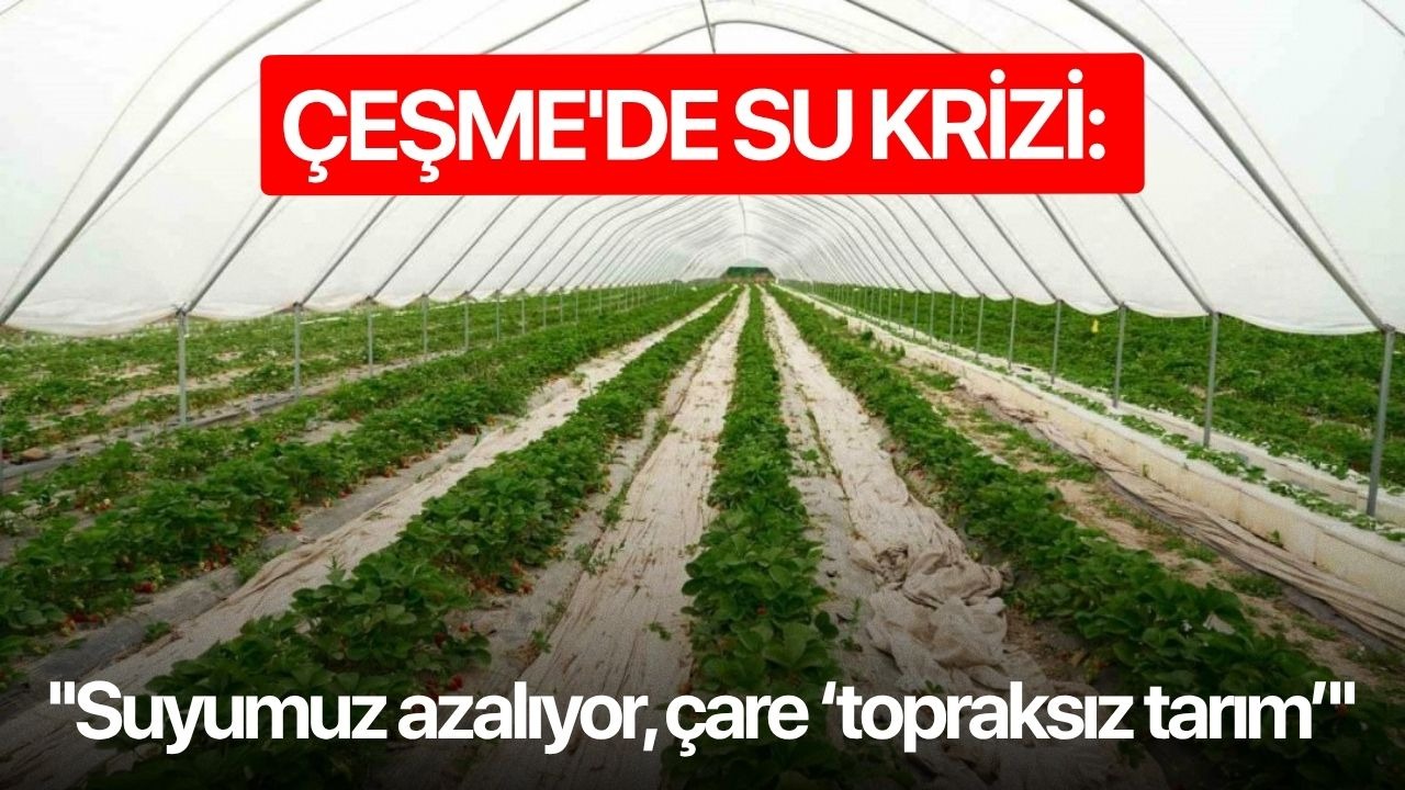 Çeşme'de su krizi: ''Suyumuz azalıyor, çare ‘topraksız tarım’''