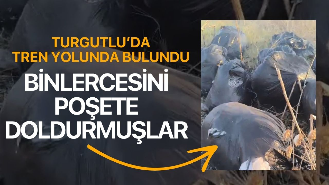 Turgutlu’da Tren Yolunda bulundu: Poşetlerin içinde atmışlar!