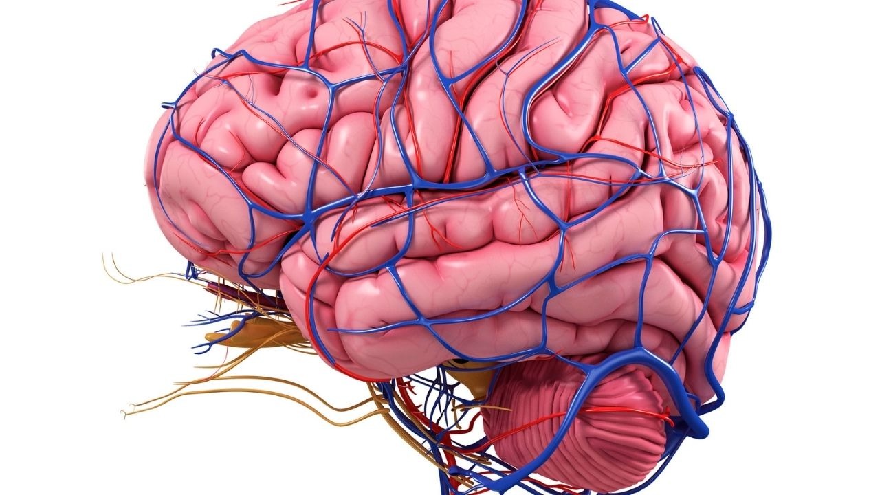 Beynin derinliklerine uzanan umut: DBS