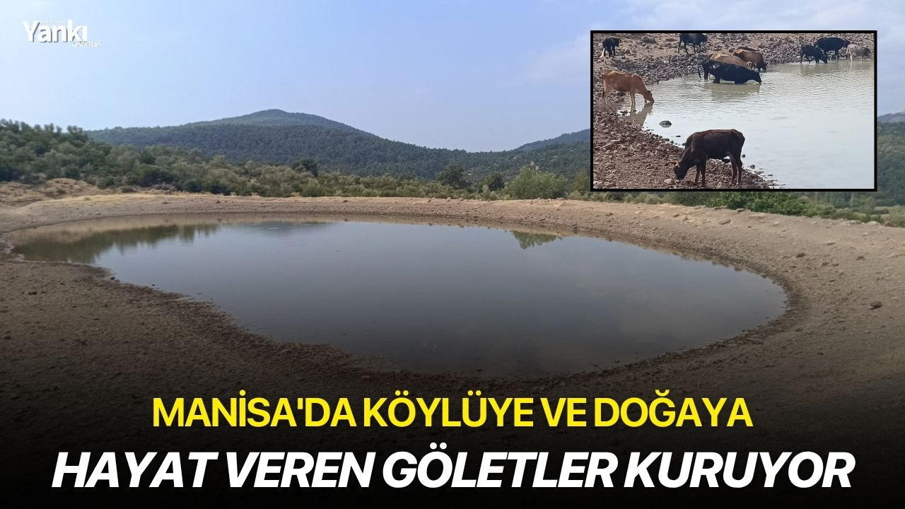 Manisa'da köylüye ve doğaya hayat veren göletler kuruyor
