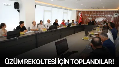 Üzüm rekoltesi için toplandılar!