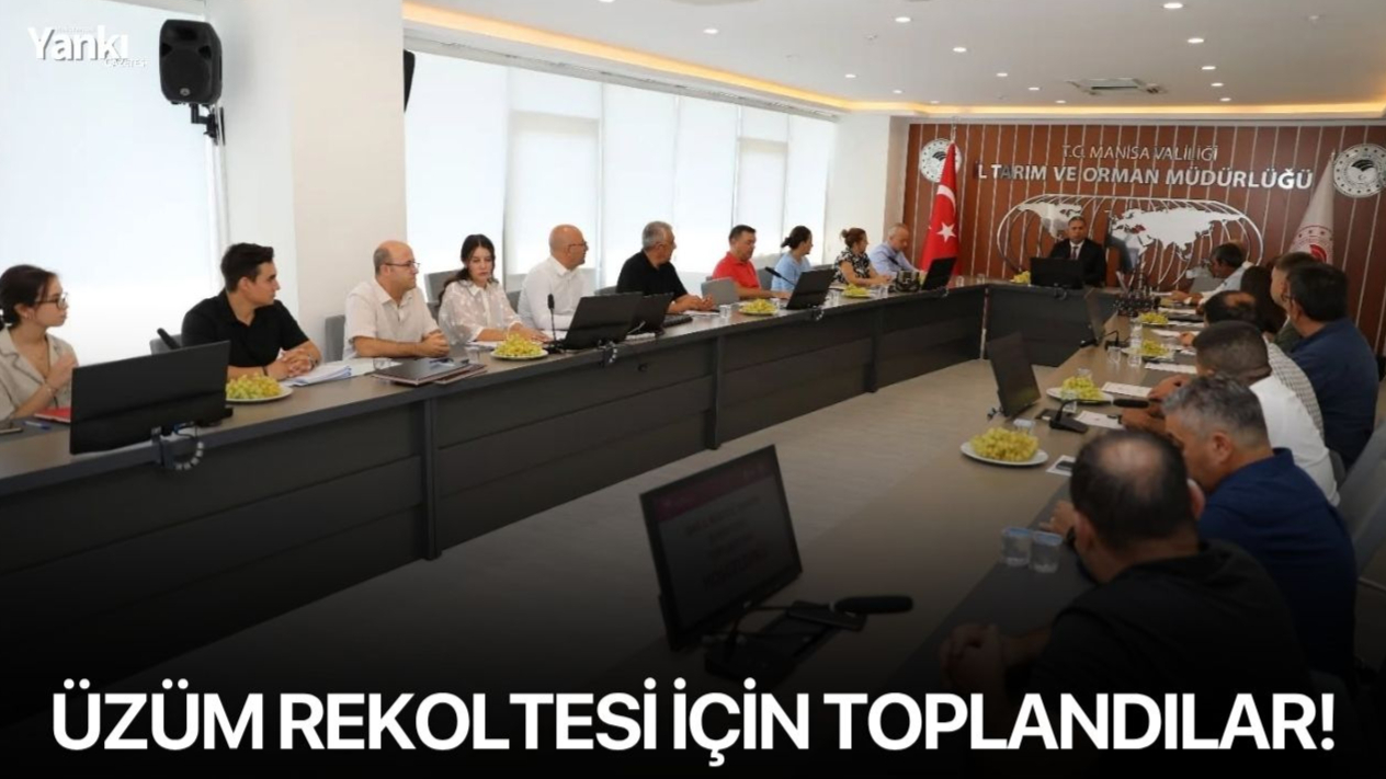 Üzüm rekoltesi için toplandılar!