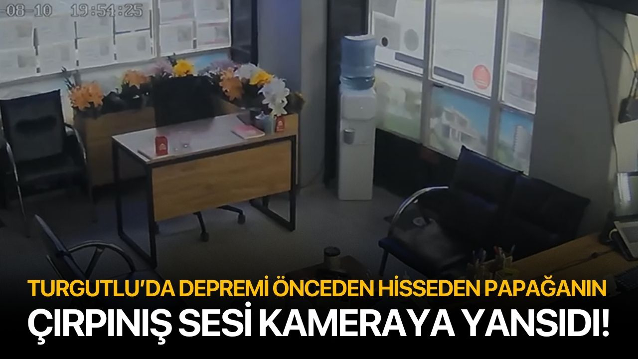 Turgutlu’da depremi önceden hisseden papağanın çırpınış sesi kameraya yansıdı!
