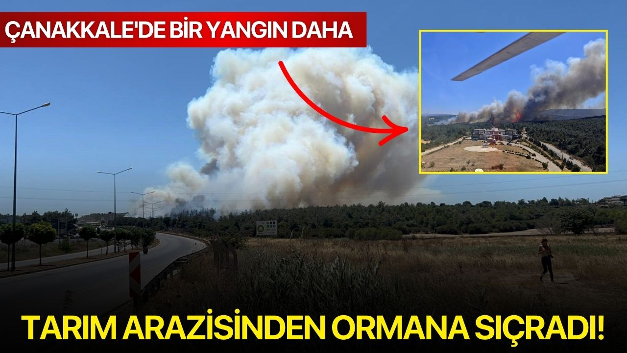 Çanakkale'de bir yangın daha: Tarım arazisinden ormana sıçradı!