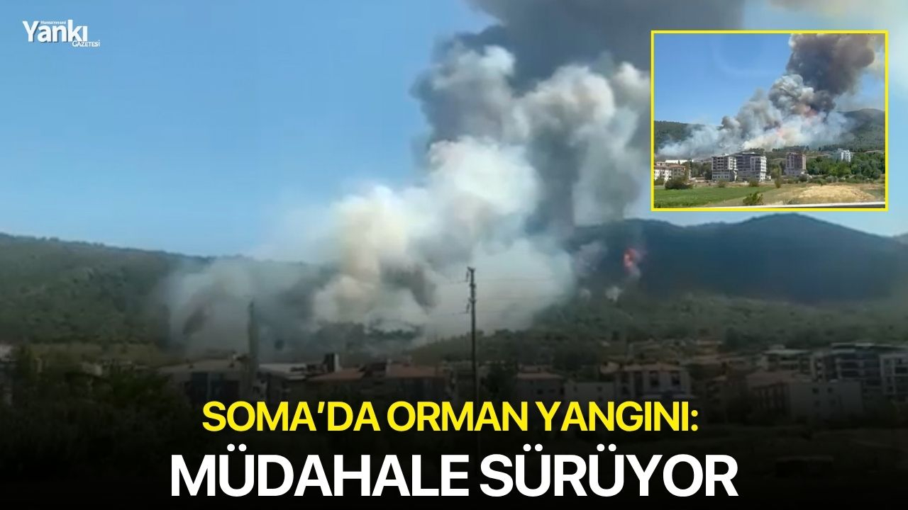 Soma'da orman yangını: Müdahale sürüyor