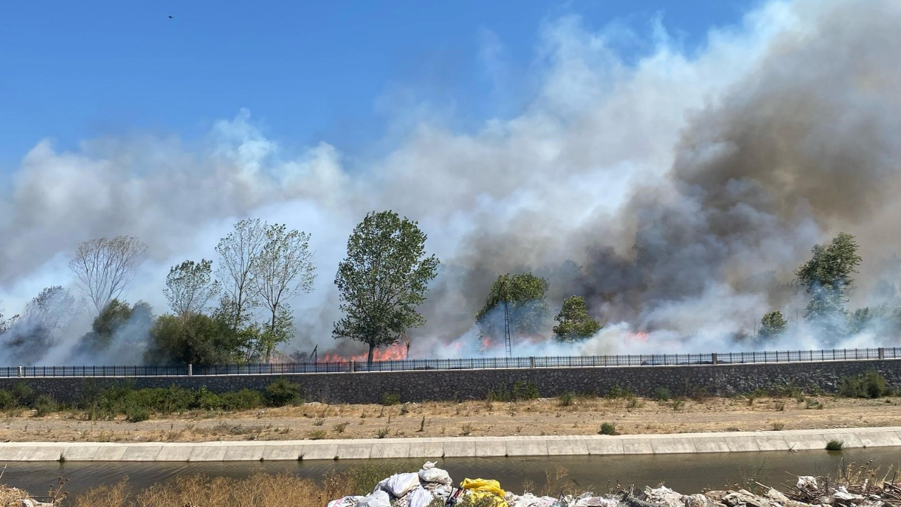 Çanakkale yeniden yanıyor! Alevler işletmelere ulaştı