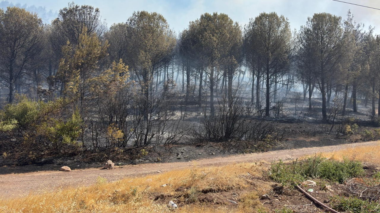 Soma Yangınına Müdahale Sürüyor