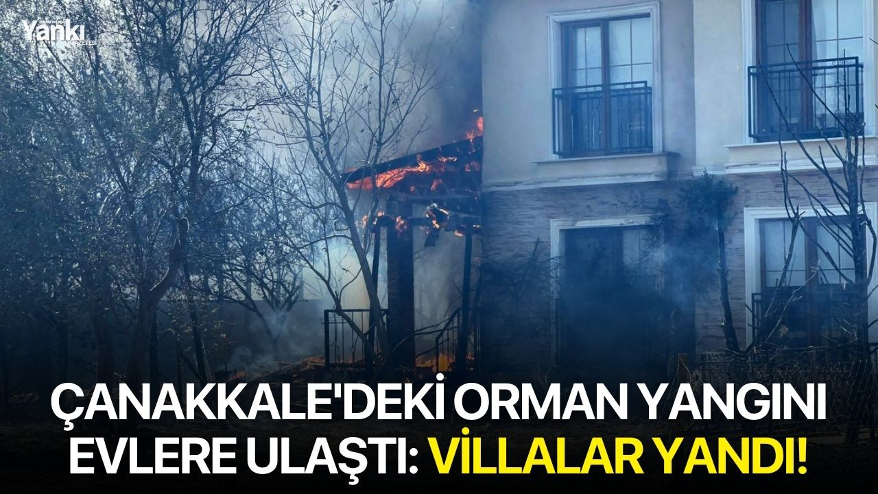 Çanakkale'deki orman yangını evlere ulaştı: Villalar yandı!
