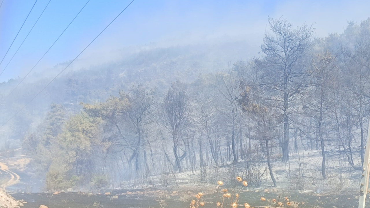 Soma yangınında bir mahalle boşaltıldı: Bir kişi gözaltına alındı!