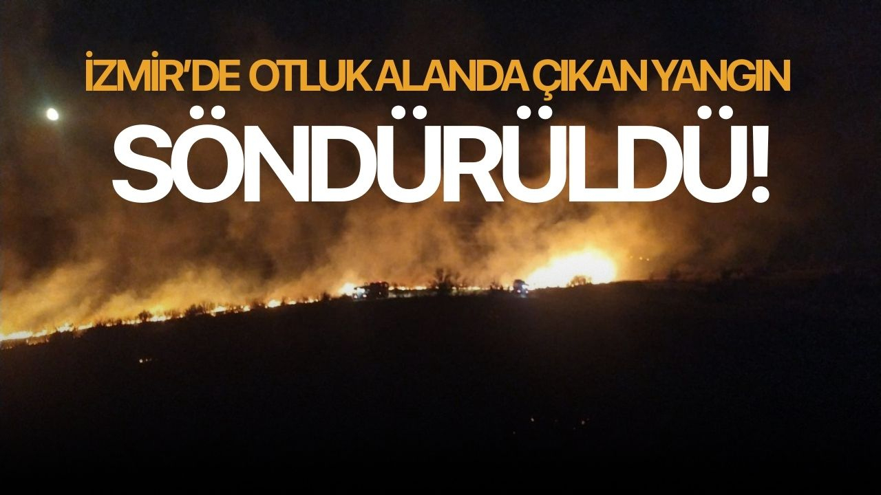 İzmir'de otluk alanda çıkan yangın söndürüldü