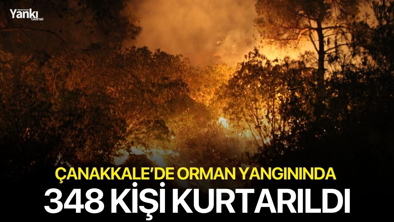 Çanakkale’de Orman Yangınında 348 Kişi Kurtarıldı