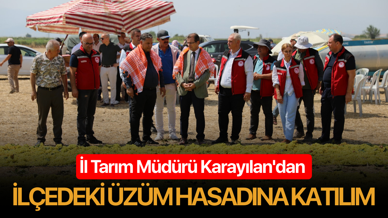 İl Tarım Müdürü Karayılan'dan ilçedeki üzüm hasadına katılım