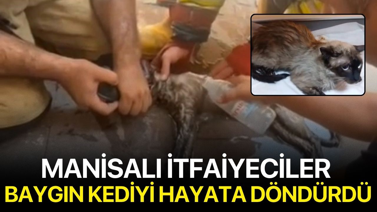 Manisalı İtfaiyeciler Baygın Kediyi Hayata Döndürdü