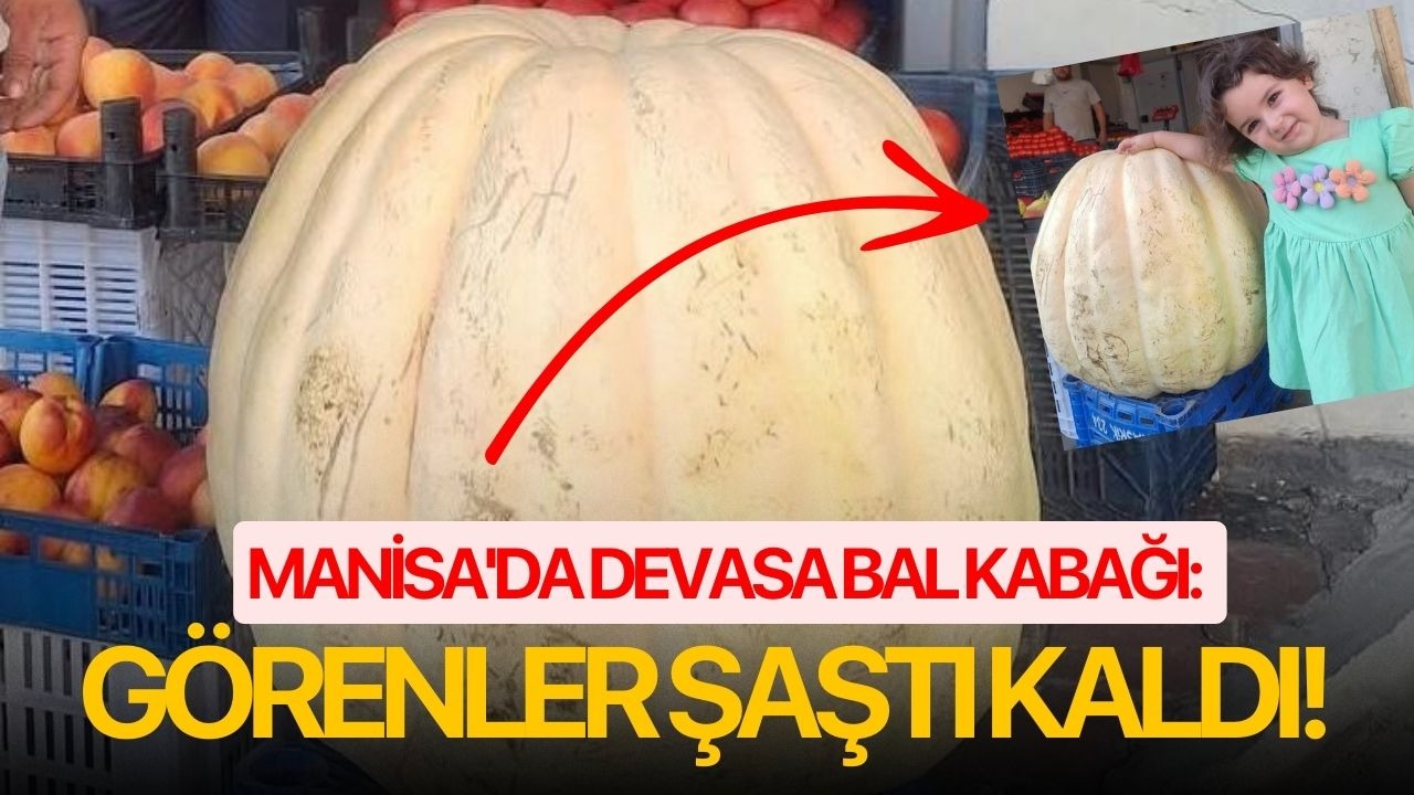 Manisa'da Devasa bal kabağı: Görenler şaştı kaldı!