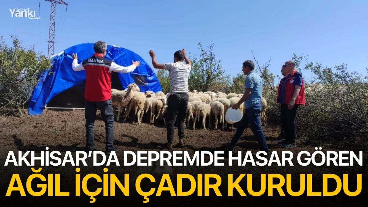 Akhisar’da depremde hasar gören ağıl için çadır kuruldu
