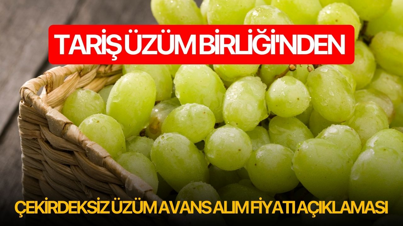 Tariş Üzüm Birliği'nden çekirdeksiz üzüm Avans alım fiyatı açıklaması