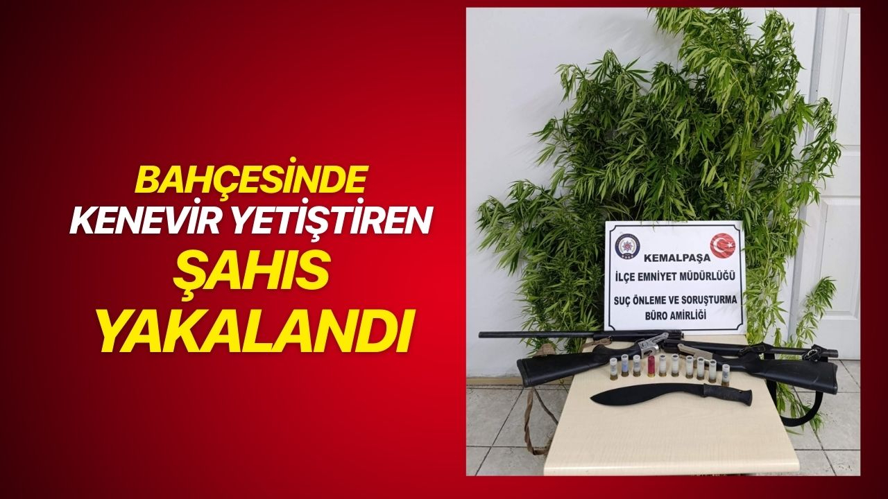 Kemalpaşa'da bahçesinde kenevir yetiştiren şüpheli yakalandı