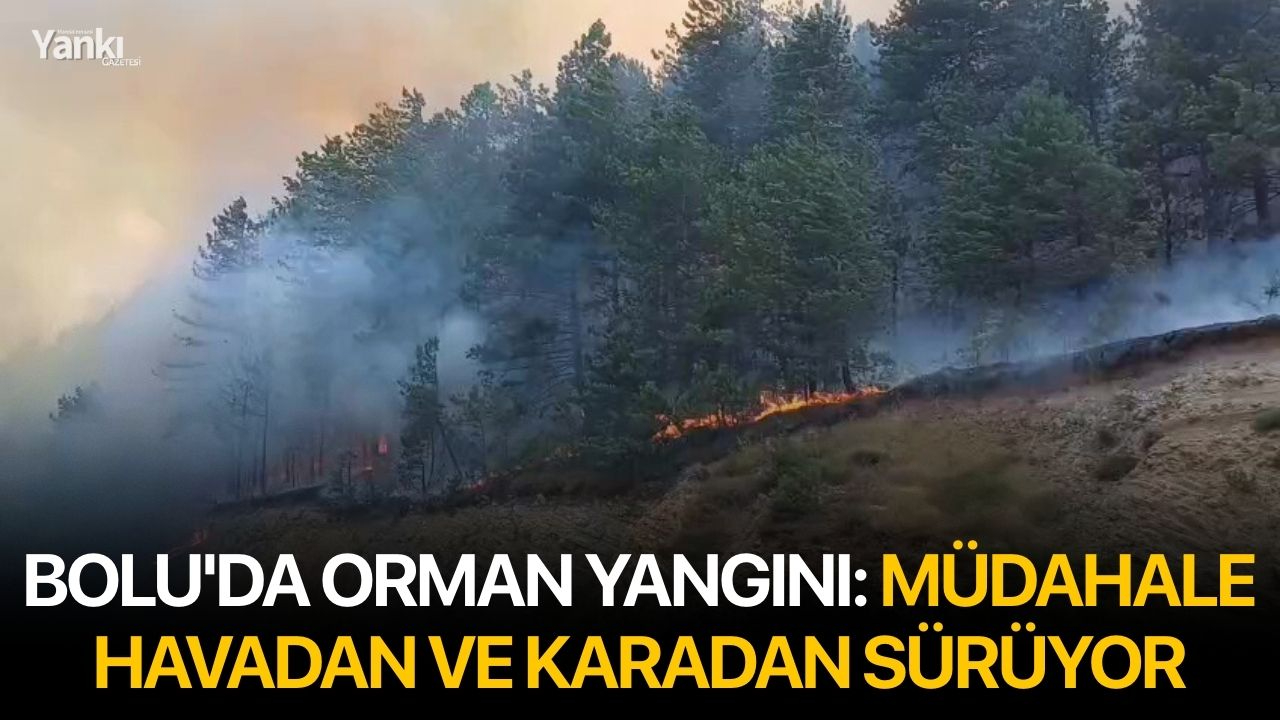 Bolu'da orman yangını: Müdahale havadan ve karadan sürüyor