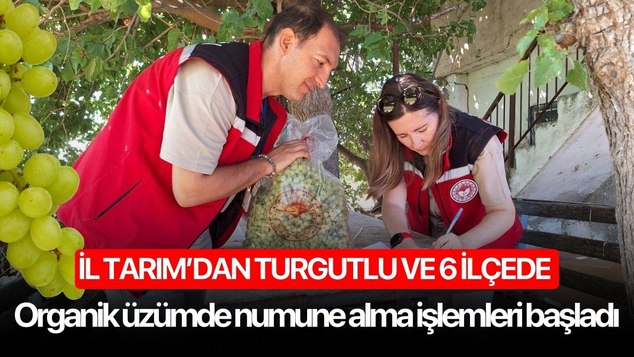 İl Tarım’dan Turgutlu ve 6 ilçede Organik Üzümde numune alma işlemleri başladı