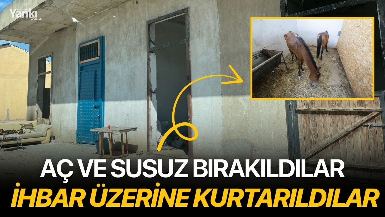 Aç ve susuz bırakıldılar; İhbar üzerine kurtarıldılar