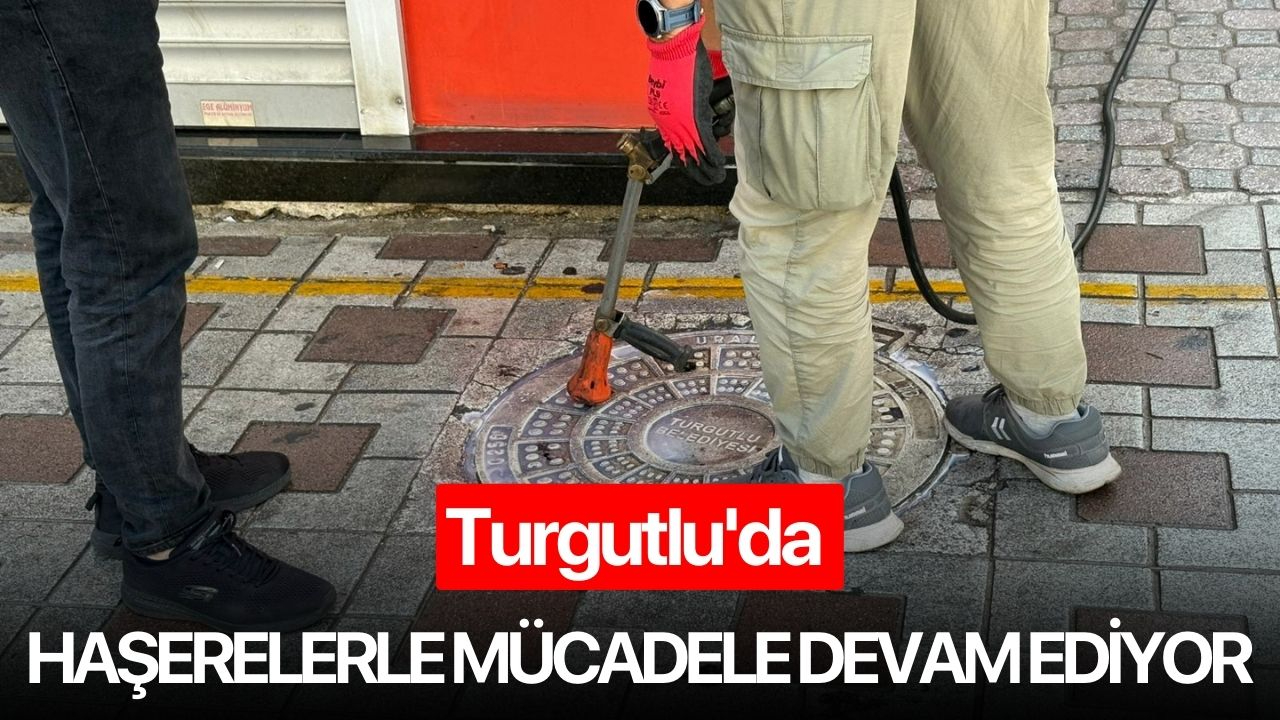 Turgutlu'da haşerelerle mücadele devam ediyor