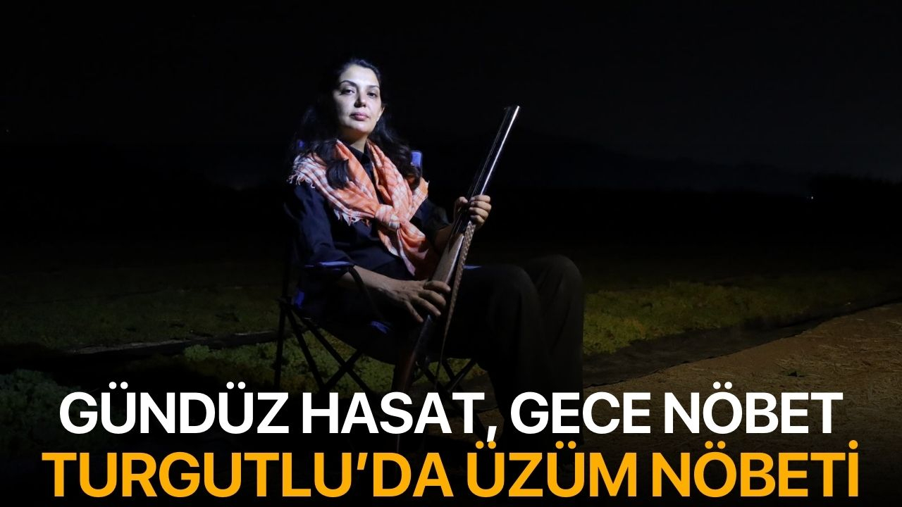 Gündüz Hasat, Gece Nöbet: Turgutlu’da Üzüm Nöbeti