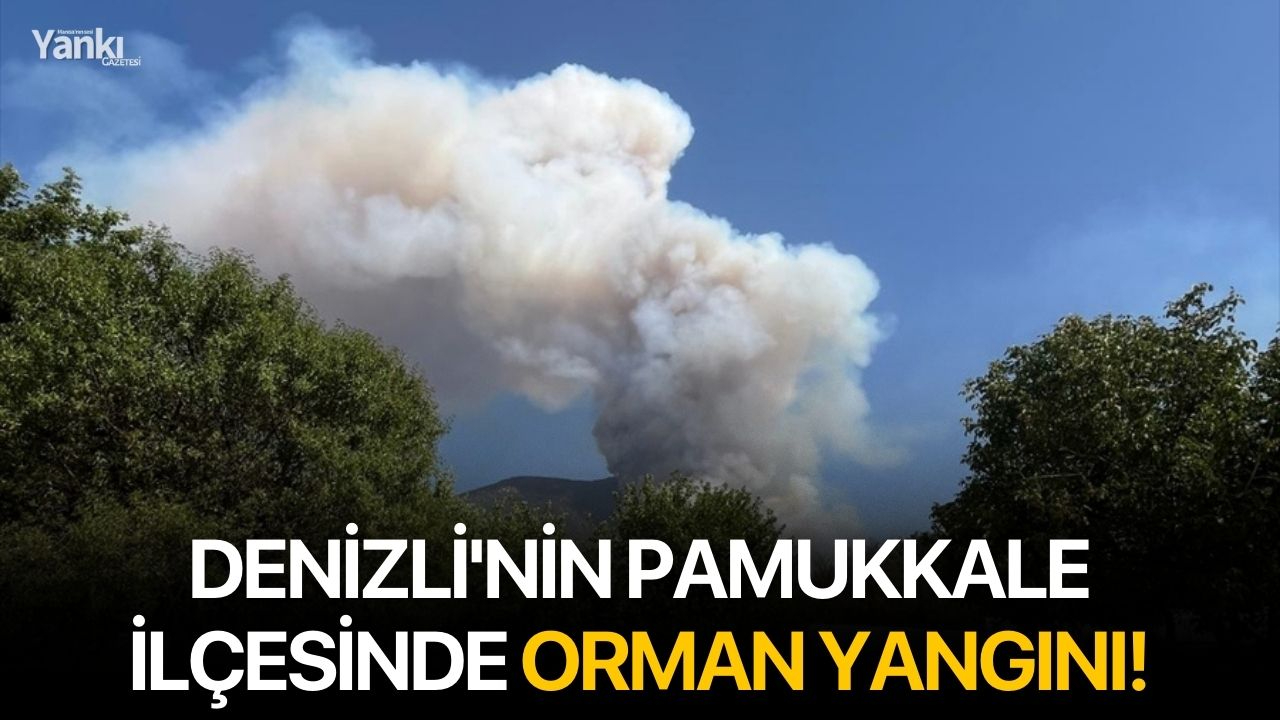 Denizli'nin Pamukkale ilçesinde orman yangını!