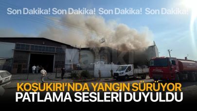 Koşukırı'nda yangın sürüyor! Patlamalar duyuldu