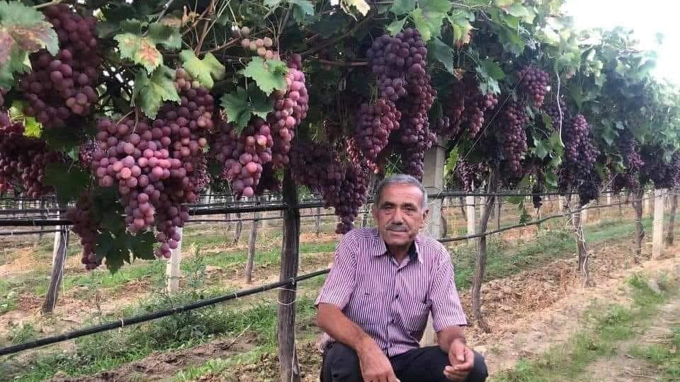 TARİŞ’in açıkladığı üzüm fiyatına tepki