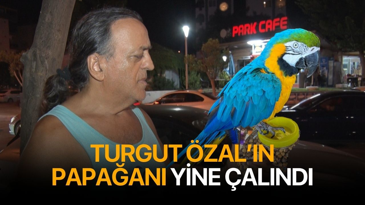 Turgut Özal'ın papağanı yine çalındı