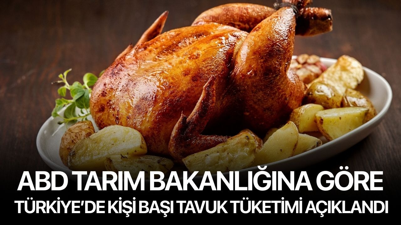 ABD Tarım Bakanlığına göre Türkiye’de kişi başı tavuk tüketimi açıklandı