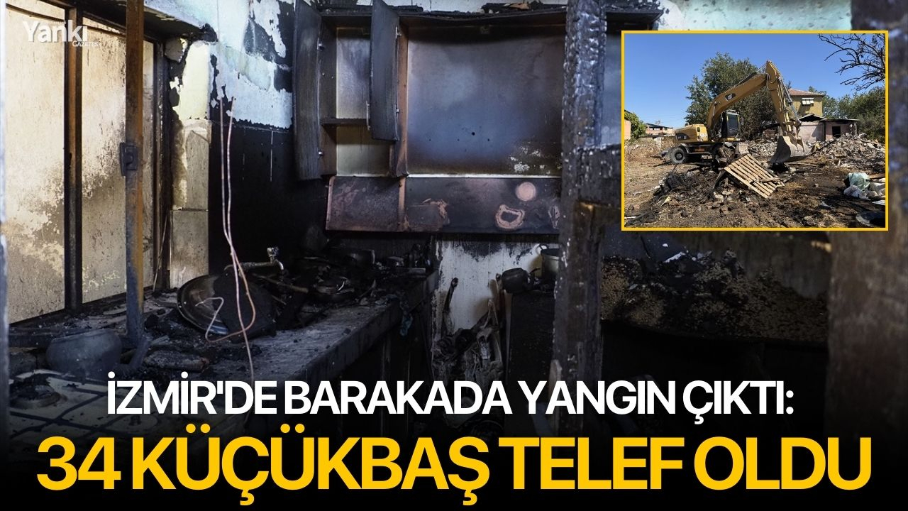 İzmir'de barakada yangın çıktı: 34 küçükbaş telef oldu